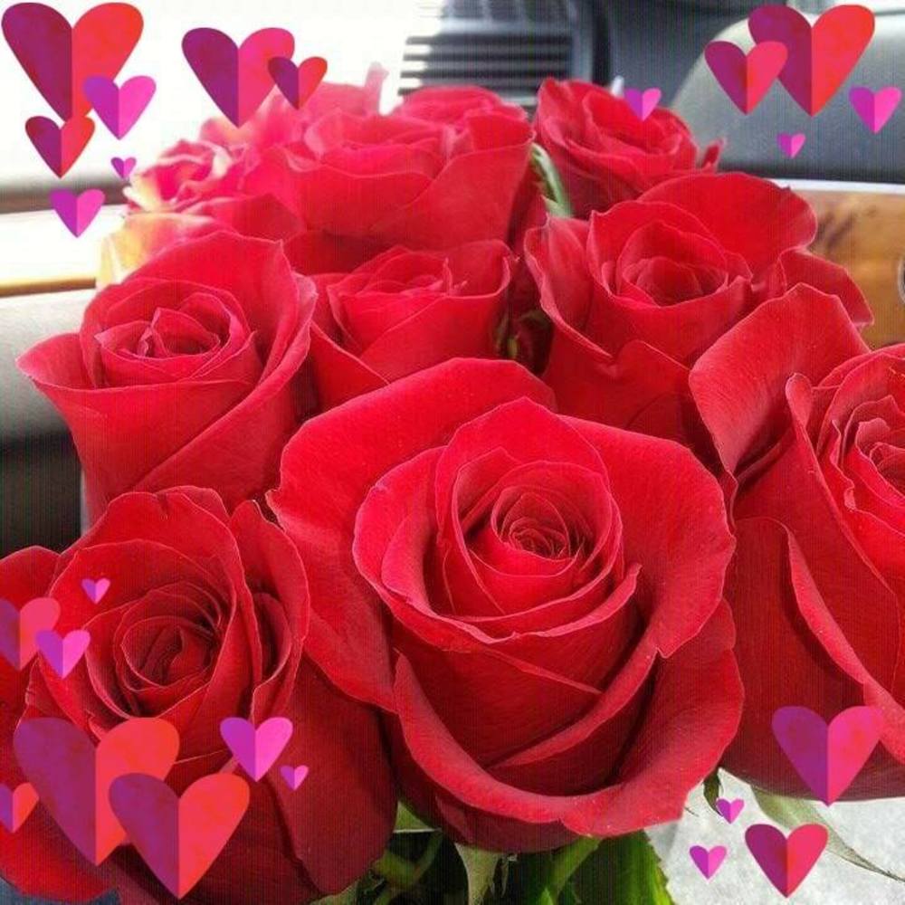 Meet your Posher, Judy